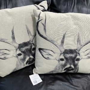 Two decor pillows - Brand New With Tags